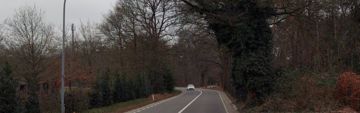 Weg tussen bomen met smalle gemarkeerde stroken langs de rijbaan, op de projectfoto van gemeente Merksplas.