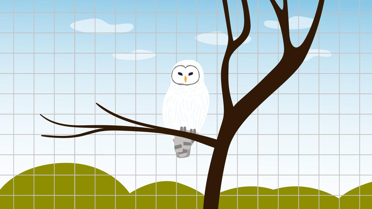 Illustratie van de Raad voor Dierenaangelegenheden met een witte uil op een tak in een volière.