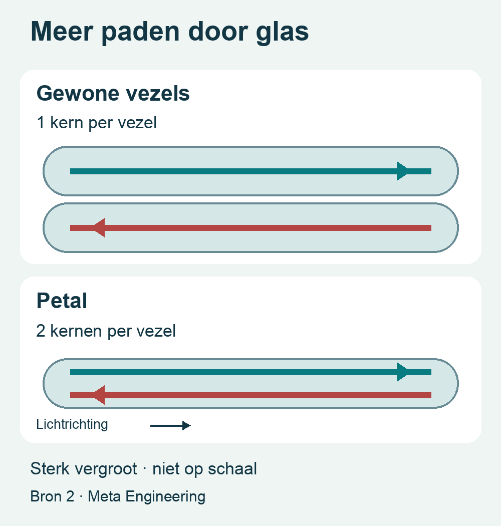 Schema: twee tegengestelde lichtpaden in één glasvezel bij Petal.