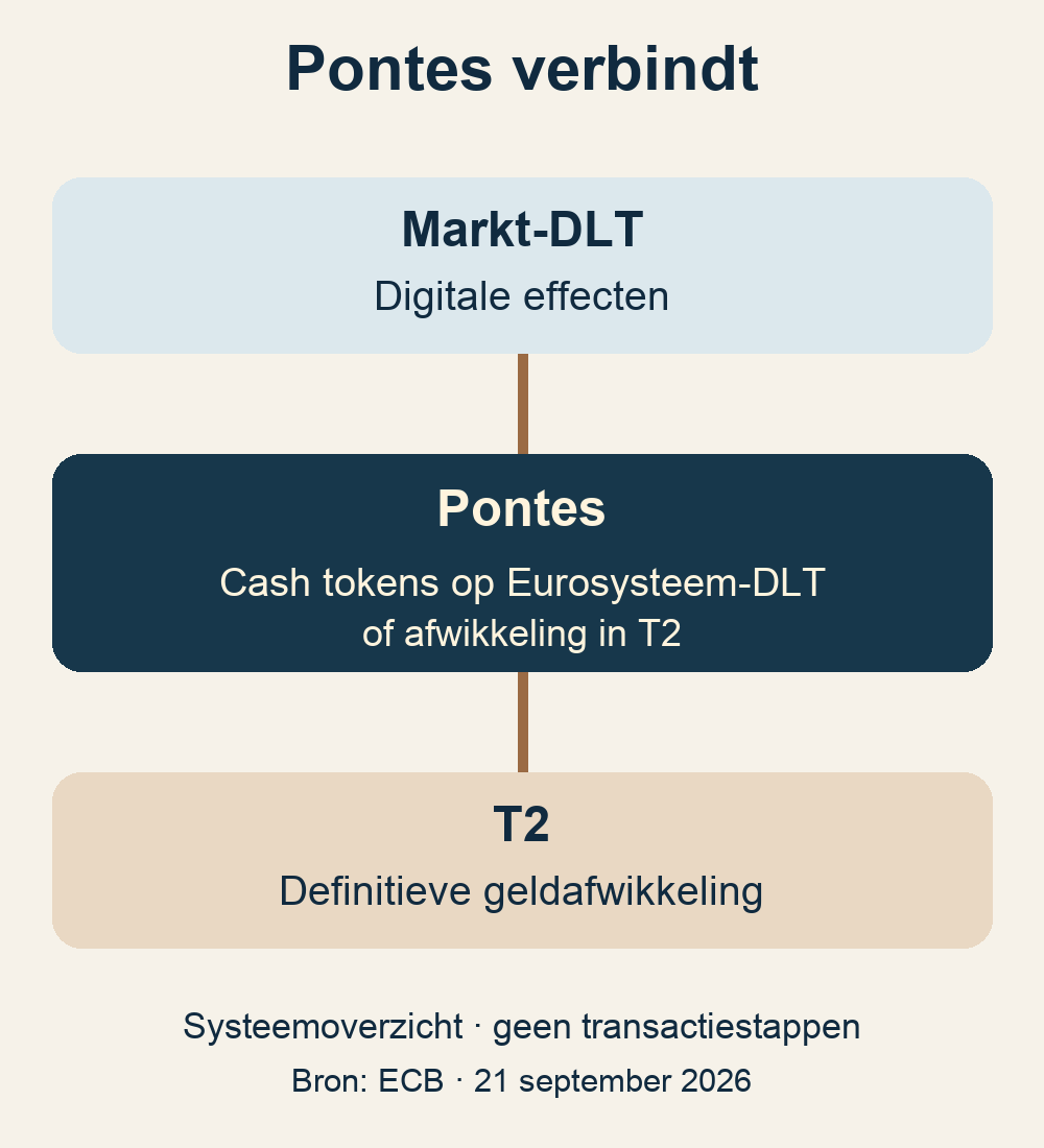 Schema verbindt markt-DLT via Pontes met T2 en benoemt beide afwikkelmodellen.